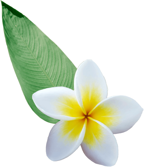 destination-bali-uluwatu-location-flower-min