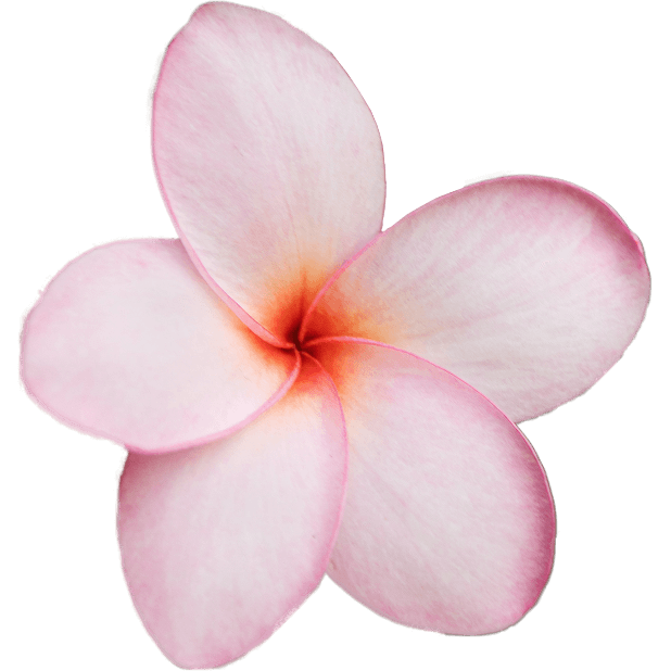 destination-bali-uluwatu-location-pink-flower-min