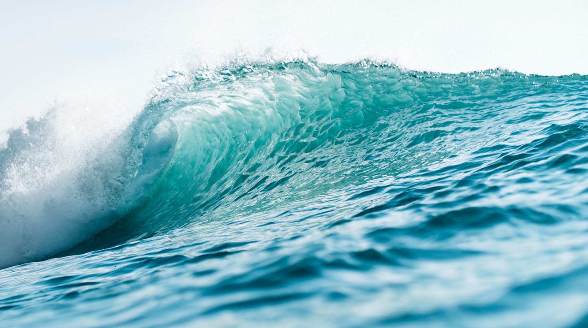 Wave
