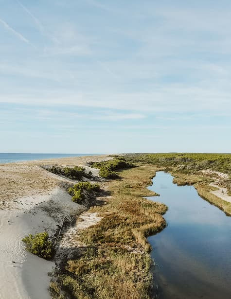 Nature - protecting the enviroment