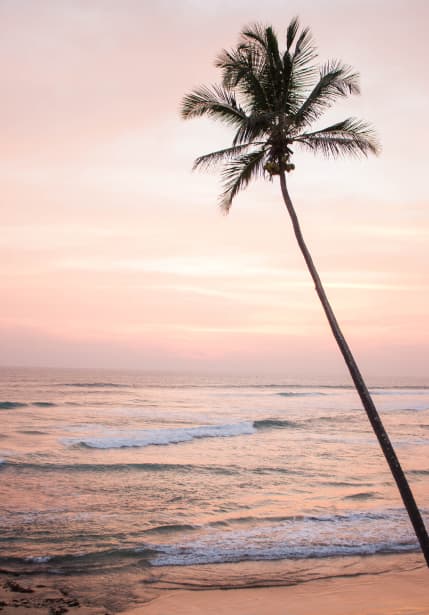 Welcome to Dreamsea Surf Camps