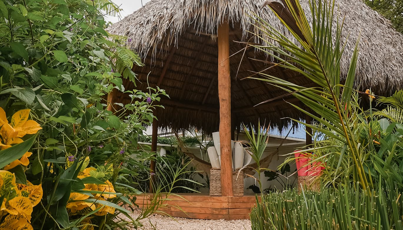 destination-costarica-avellanas-yoga-lessons-2-daily-moz