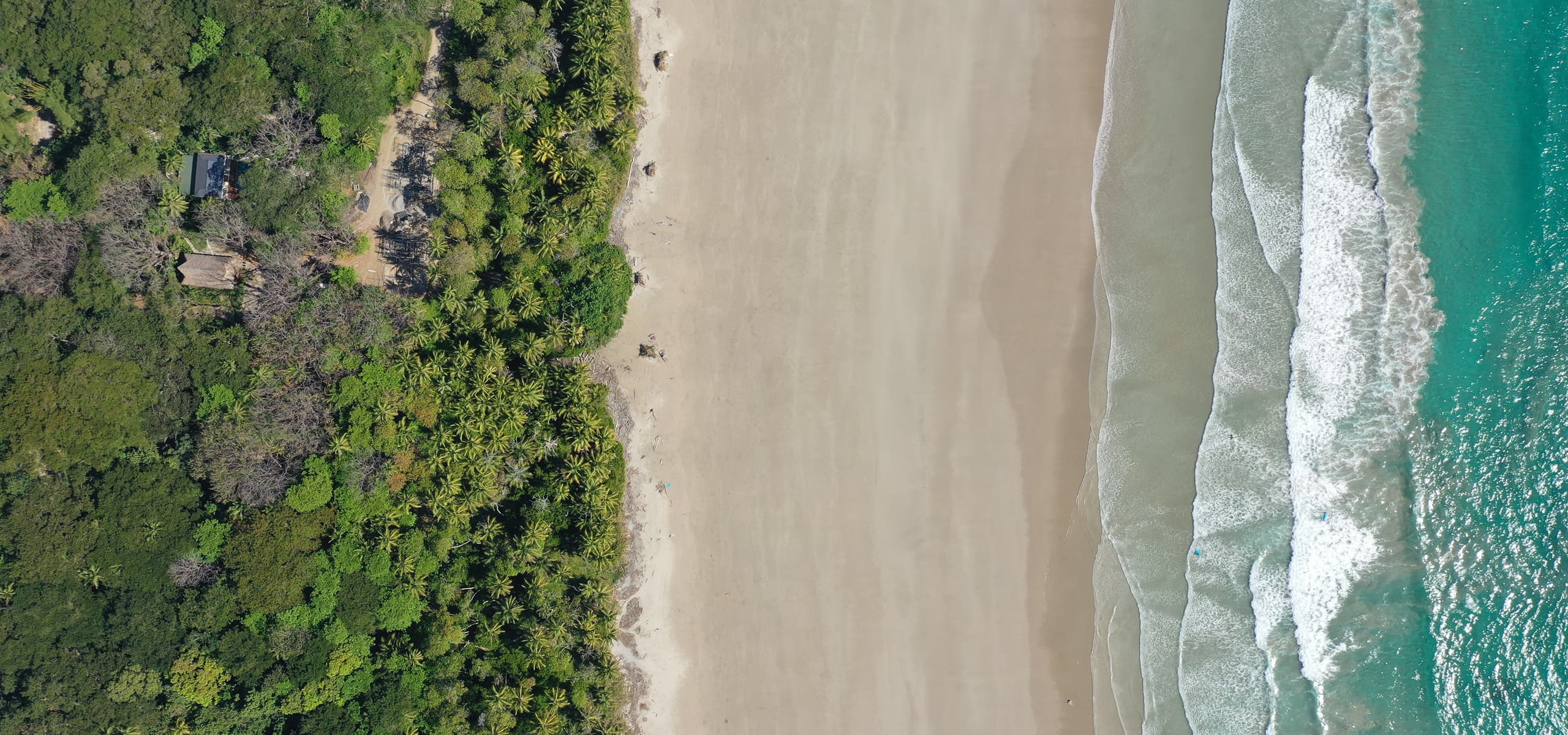 Aerial view of tropical forest, palm trees, and sandy beach at Playa Hermosa in Santa Teresa, Costa Rica