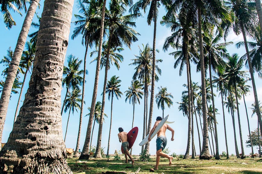 Surfers carrying boards through palm trees in Bali