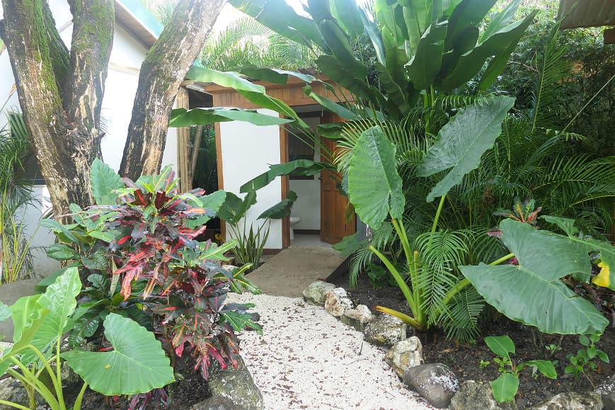 Garden entrance to the rooms at Dreamsea Santa Teresa surrounded by tropical plants