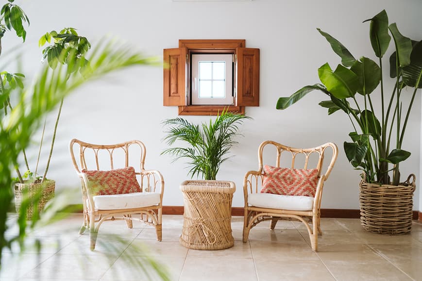 Rattan chairs and tropical plants in a lounge area at Dreamsea Portugal Sintra