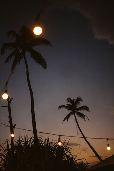 Palm trees and string lights at sunset near Dreamsea Sri Lanka Ahangama